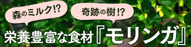 ���������P�y�������K�̐`in���_�ہz���T�C�g